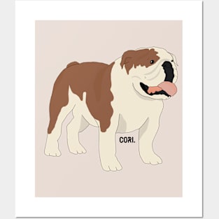 Cute English bulldog Posters and Art